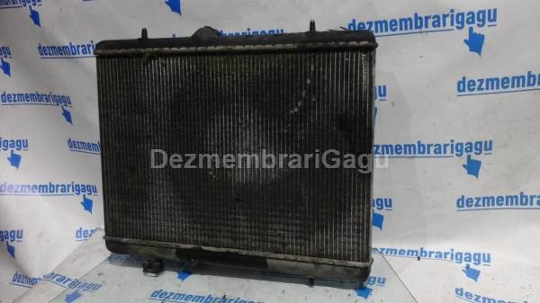 Vand radiator apa PEUGEOT 407, 2.0 Diesel, 100 KW